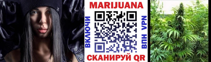 Купить наркотики цена Приозерск A PVP  Псилоцибиновые грибы  Бошки Шишки  МЕФ 