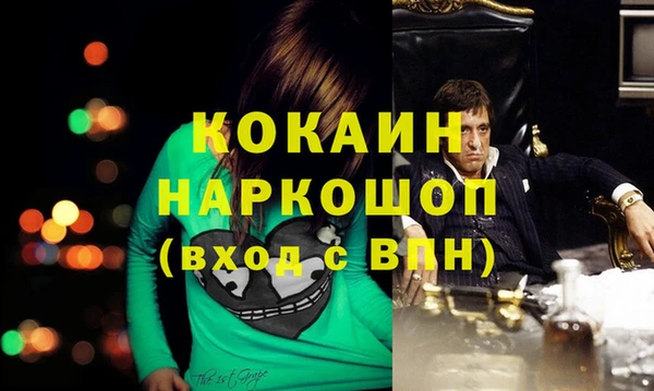 индика Алзамай