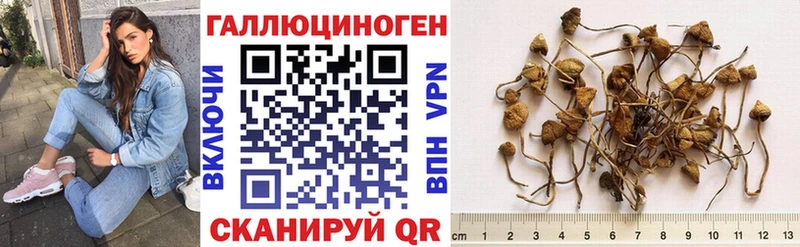 Псилоцибиновые грибы мухоморы  Приозерск 